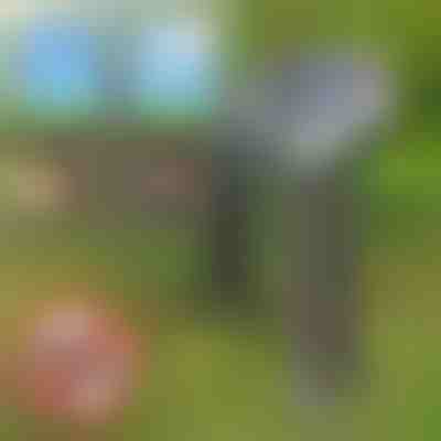 Solarer Schädlingsbekämpfer | SOLGUARD